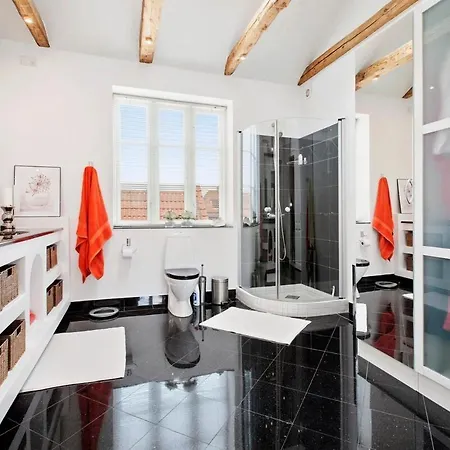 Entire Multi-room In Patrician Apartament Slagelse